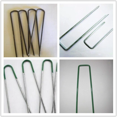 High Quality Galvanized Artificial Turf Nail